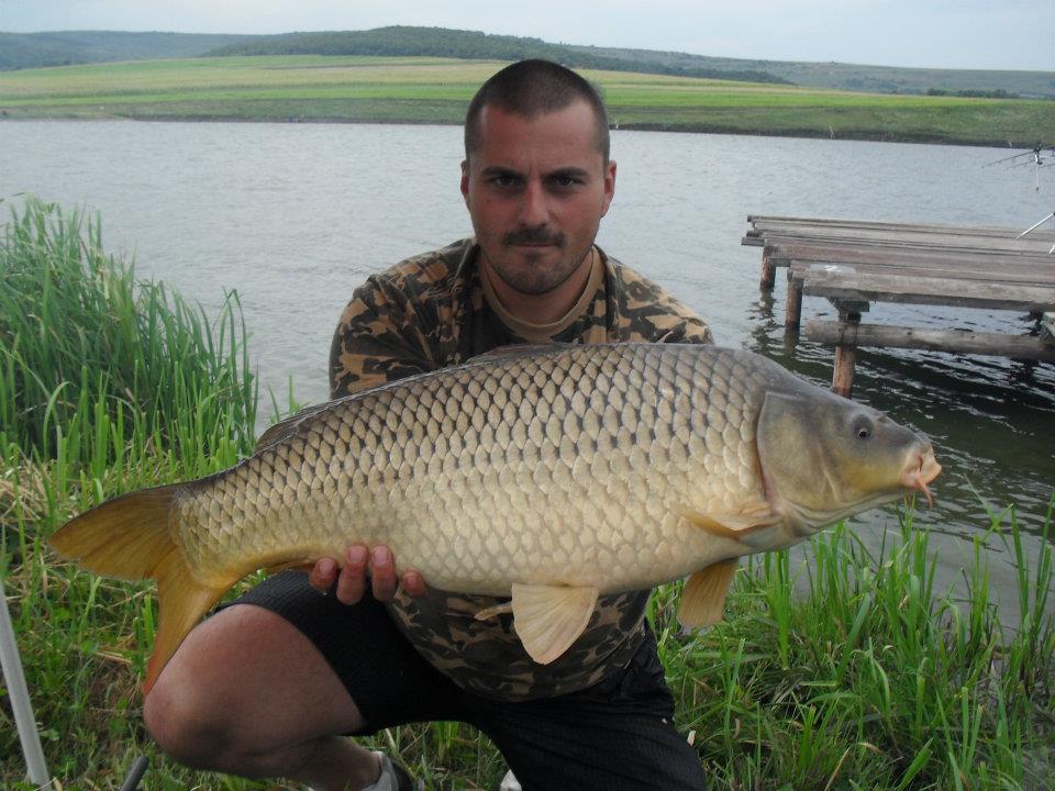 ccarp - 312077_226438850750878_100001542957380_594708_754016463_n.jpg